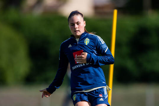 Hanna Wijk