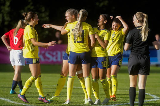 Sveriges spelare jublar