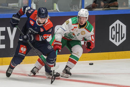 Bläddra bland fler bilder av Ice Hockey, CHL, Fehervar - Rögle