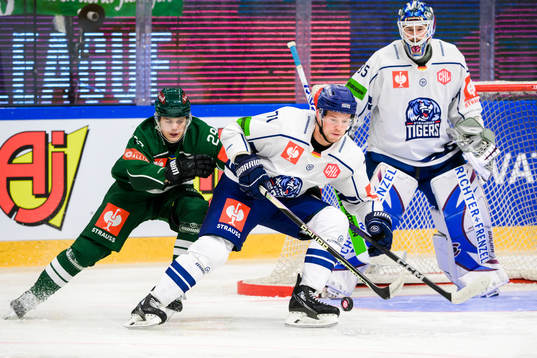 Färjestad Lucas Forsell and Straubing Tigers Trent Bourque