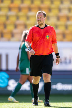 Domare Henrik Snäll