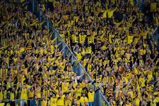 Spectators in the stands