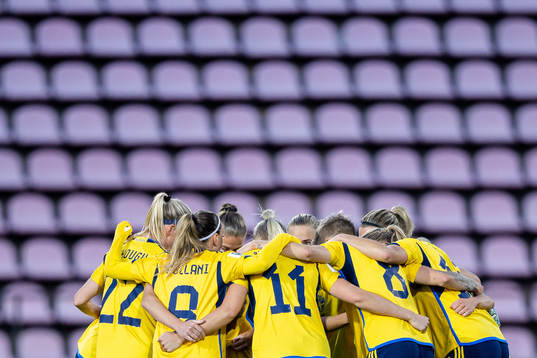 Players of Sweden