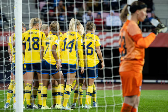 Players of Sweden celebrate the 0-3 goal