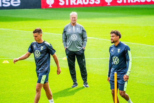 Head coach Åge Hareide