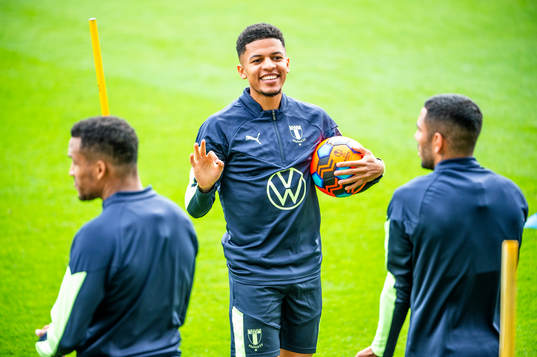 Romain Gall