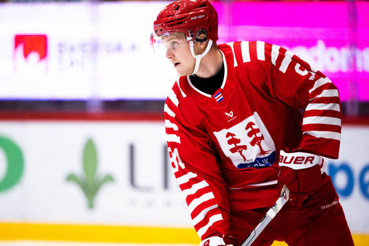 Timrås Sebastian Hartmann