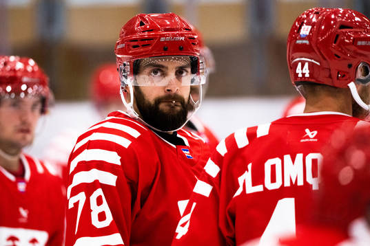 Timrås Robin Hanzl
