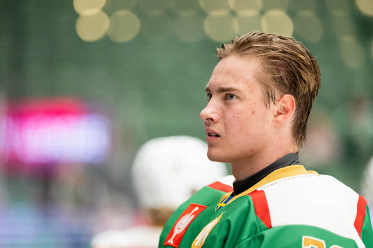 Goalkeeper Calle Clang of Rögle