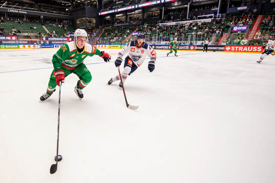 Adam Engström of Rögle and Patrick Newell of Fehervar