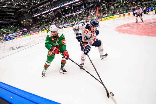 Brady Ferguson of Rögle and Natan Vertes of Fehervar