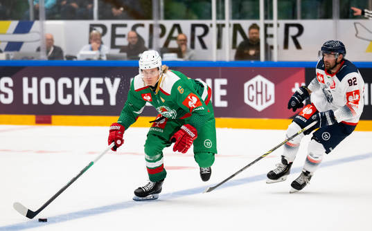Tony Sund of Rögle and Balint Magosi of Fehervar