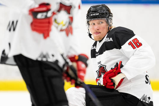 Malmö Redhawks Marcus Sylvegård