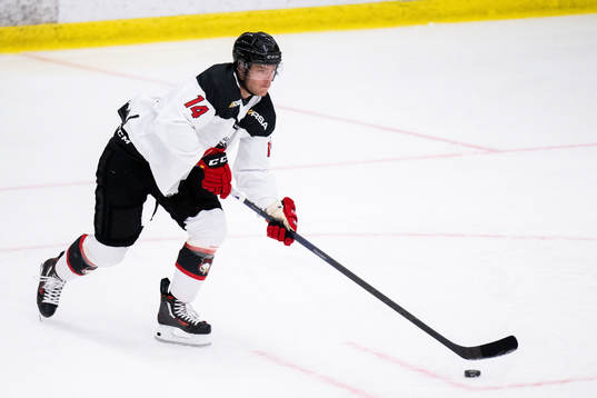 Malmö Redhawks Carl-Johan Lerby