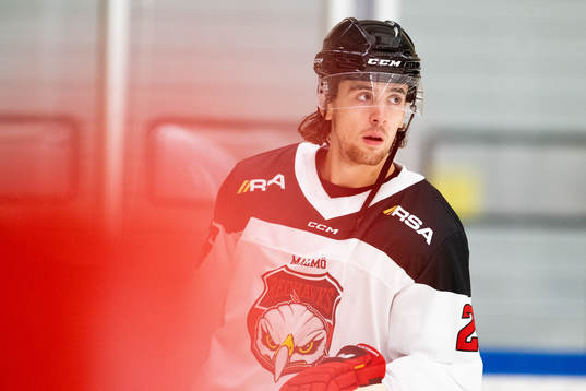 Malmö Redhawks Thomas Schemitsch