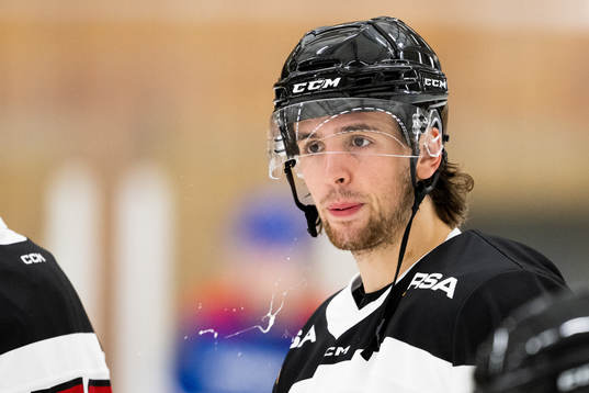 Malmö Redhawks Thomas Schemitsch