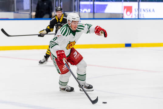 Moras Robin Johansson