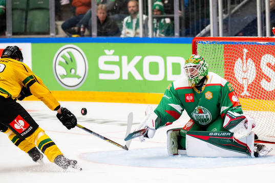 Goalkeeper Christoffer Rifalk of Rögle
