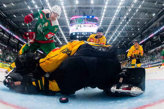 Bläddra bland fler bilder av Ice Hockey, CHL, Rögle - Katowice