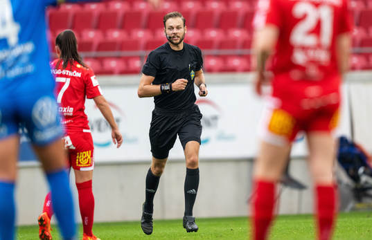 Domare Max Persson