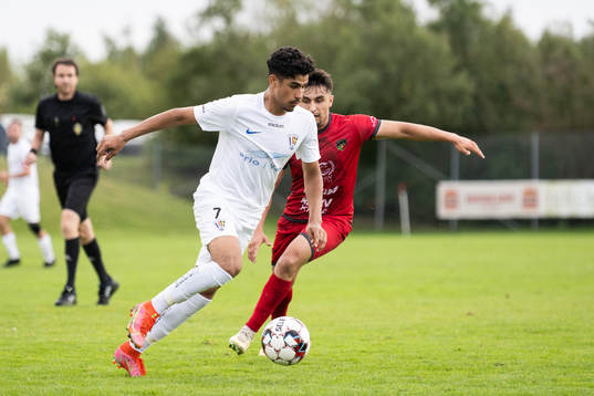 Balkans Ahmad Saad Handal