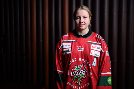 s upptaktsträff