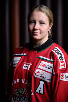 s upptaktsträff