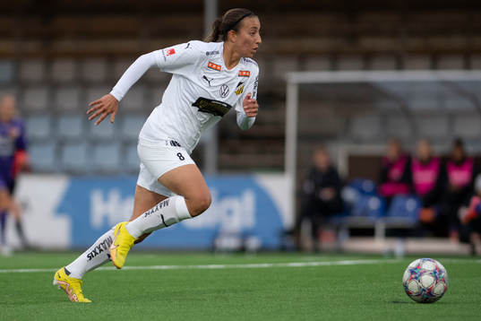 Häckens Rosa Kafaji