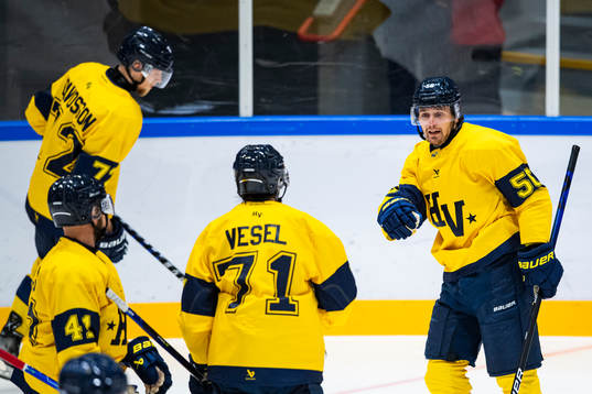 s Fredrik Forsberg jublar