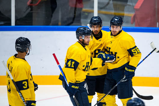 s Fredrik Forsberg jublar