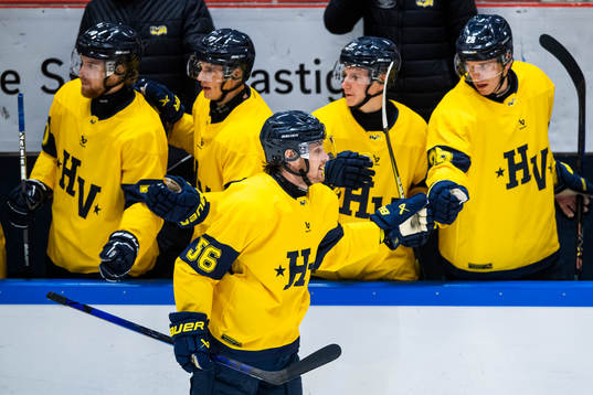 s Fredrik Forsberg jublar