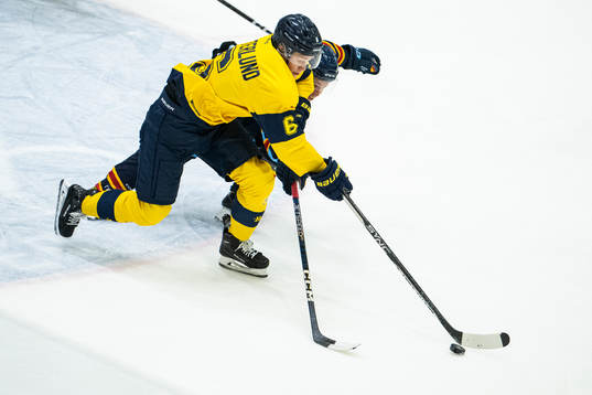 s Filip Westerlund och Djurgårdens Tim Söderlund