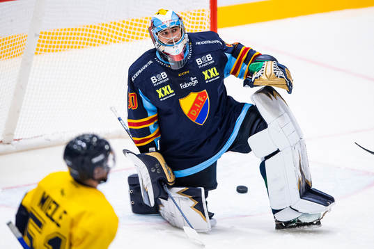 Djurgårdens målvakt Matthew Galajda