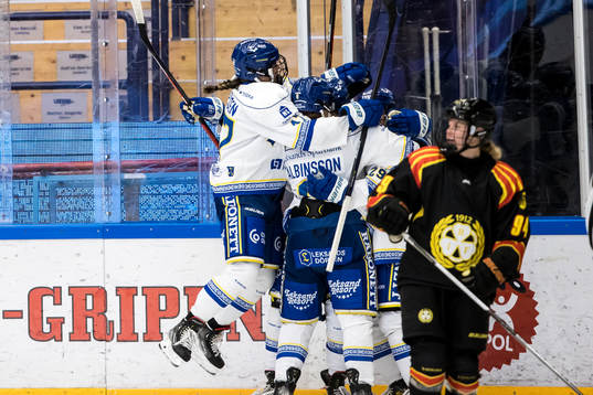 Leksands spelarna jublar