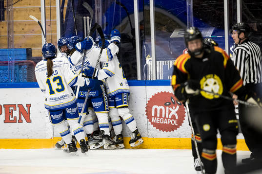 Leksands spelarna jublar