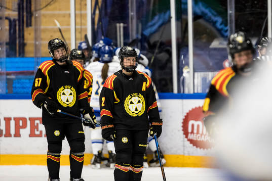 Brynäs Maja Nylén Persson   deppar