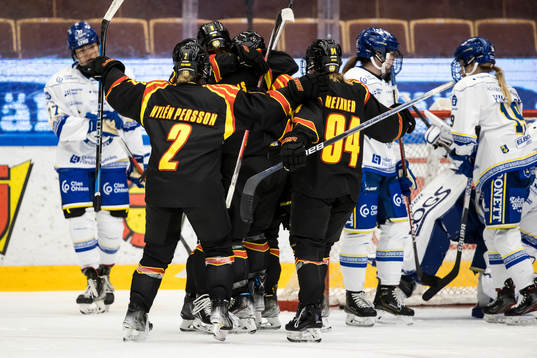 Brynäs spelarna jublar