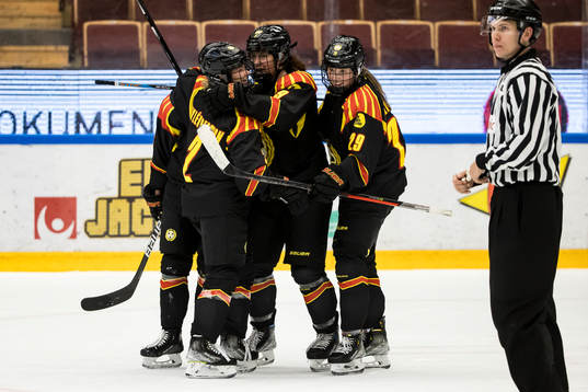 Brynäs spelarana jublar