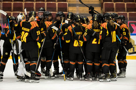 Bläddra bland fler bilder av Ishockey, SDHL, Leksand - Brynäs