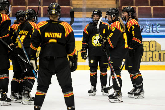 Brynäs spelarana jublar
