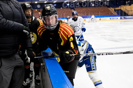 Brynäs Rosa Lindstedt