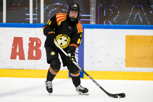 Brynäs Anna Meixner