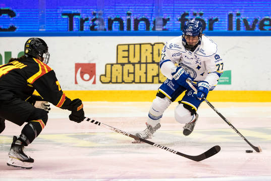 Leksands Tereza Radová