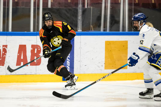 Brynäs Savine Wielenga