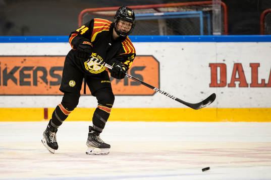 Brynäs Sara Cajanova