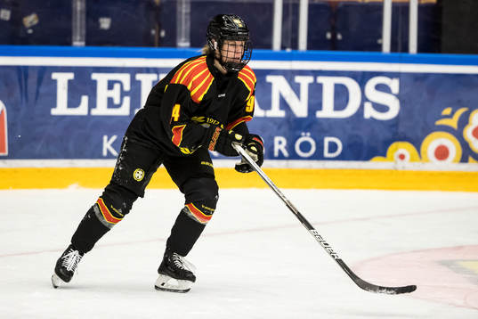 Brynäs Anna Meixner