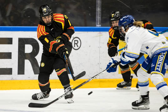 Brynäs Savine Wielenga