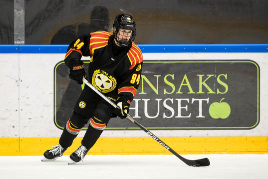 Brynäs Anna Meixner
