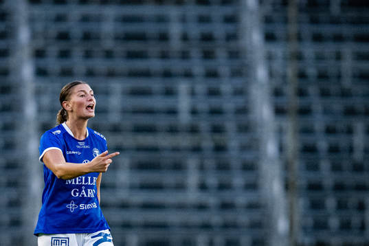 Trelleborgs Saga Ollerstam