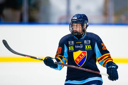 Djurgårdens Brette Pettet